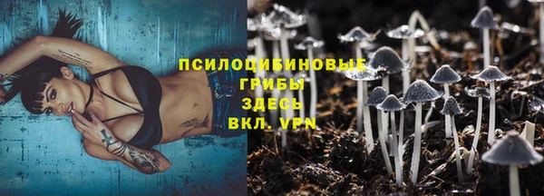 ECSTASY Михайловск