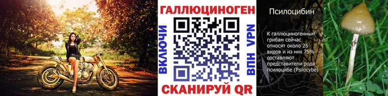 купить закладку  Власиха  KRAKEN ONION  Галлюциногенные грибы GOLDEN TEACHER 